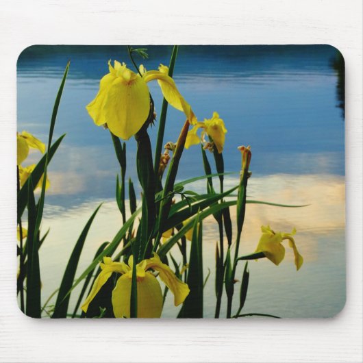 Yellow Iris am Lake Shore Mousepad (Vorne)