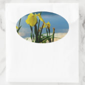 Yellow Iris am Lake Shore Ovaler Aufkleber (Tasche)