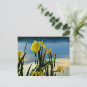 Yellow Iris am Lake Shore Postkarte (Stehend Vorderseite)