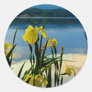 Yellow Iris am Lake Shore Runder Aufkleber