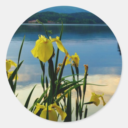 Yellow Iris am Lake Shore Runder Aufkleber (Vorderseite)