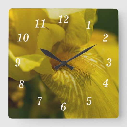 Yellow Iris Bean Wall Clock Quadratische Wanduhr (Vorderseite)