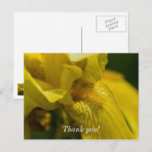 Yellow Iris Beard Danke, Postcard Postkarte (Vorne/Hinten)