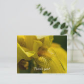 Yellow Iris Beard Danke, Postcard Postkarte (Stehend Vorderseite)