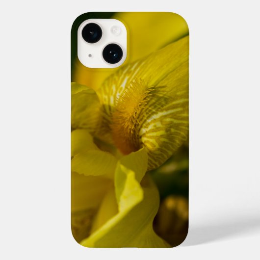 Yellow Iris Beard iPhone Case (Rückseite)