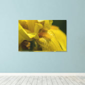 Yellow Iris Beard Leinwanddruck (Insitu (Holzboden))