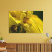 Yellow Iris Beard Leinwanddruck (Insitu (Wohnzimmer))