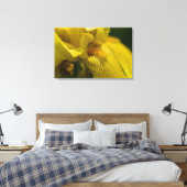 Yellow Iris Beard Leinwanddruck (Insitu (Schlafzimmer))
