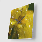 Yellow Iris Beard Quadratische Wanduhr (Winkel)
