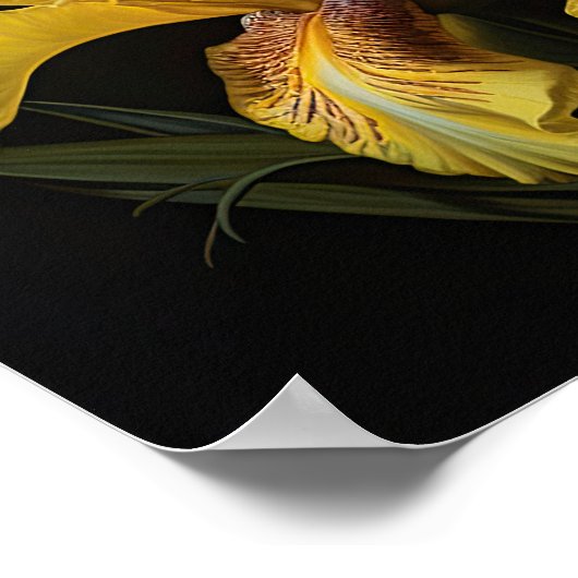 Yellow Iris Blume Art Print Poster (Ecke)