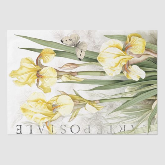 Yellow Iris Blume Butterfly French Decoupage Seidenpapier (Vorderseite)