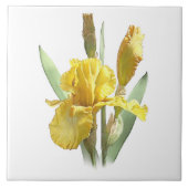Yellow Iris Blume Fliese (Vorderseite)