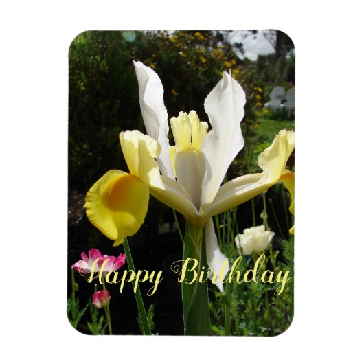 Yellow Iris Blume Floral Birthday Irises Magnet (Vertikal)