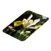 Yellow Iris Blume Floral Birthday Irises Magnet (Linke Seite)