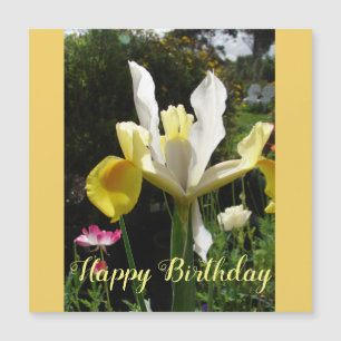 Yellow Iris Blume Floral Birthday Irises Magnetkarte