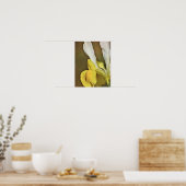 Yellow Iris Blume Fotokunst Print Poster (Küche)