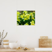 Yellow Iris Blume Poster (Küche)