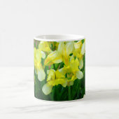 Yellow Iris Blume Tasse (Mittel)