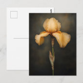 Yellow Iris Botanische Malerei Postkarte (Vorne/Hinten)