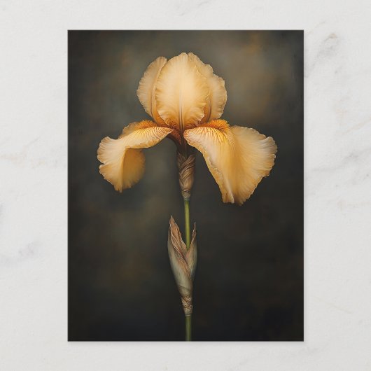 Yellow Iris Botanische Malerei Postkarte (Vorderseite)