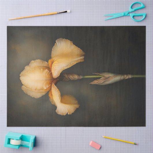 Yellow Iris botanische Malerei Seidenpapier (Basteln)