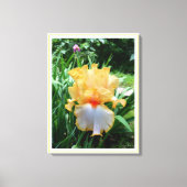 Yellow Iris Flower Garden Canvas Print Leinwanddruck (Vorderseite)