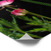 Yellow Iris Irises Blumengarten Poster (Ecke)