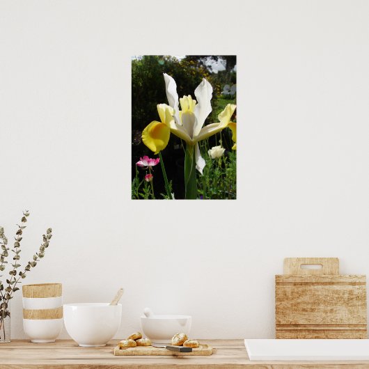 Yellow Iris Irises Blumengarten Poster (Küche)