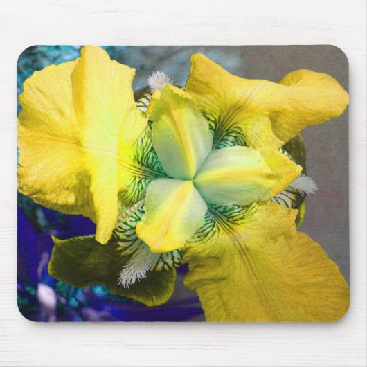 Yellow Iris Mousepad (Vorne)