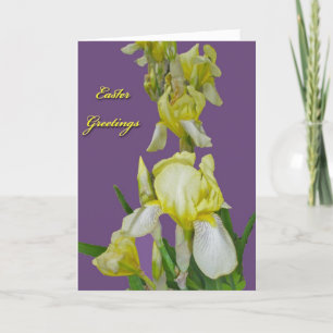 Yellow Iris Oaster Grußkarte Feiertagskarte