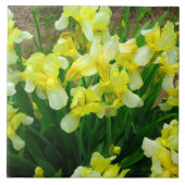 Yellow Iris Patch Fliese (Vorderseite)