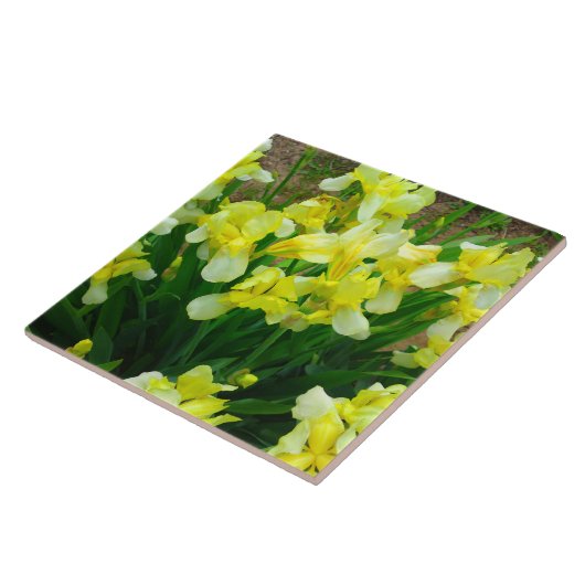 Yellow Iris Patch Fliese (Seite)