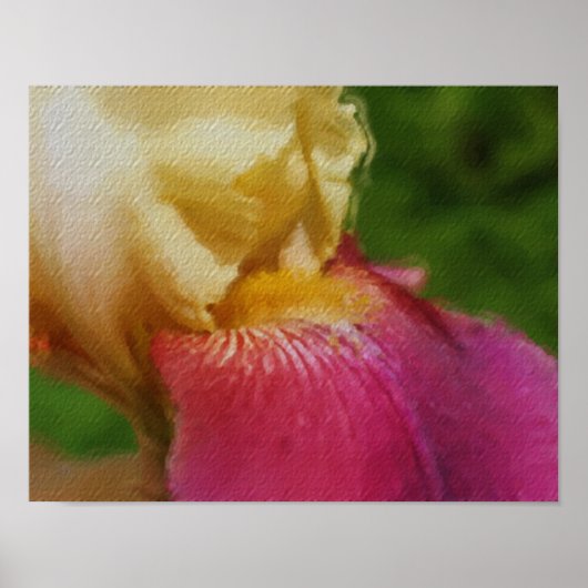Yellow Iris Petal Foto Malerei Blume Art Poster (Vorne)