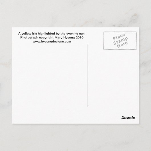 Yellow Iris Postkarte (Rückseite)