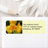 Yellow Iris Rücksendeadresse (Insitu)