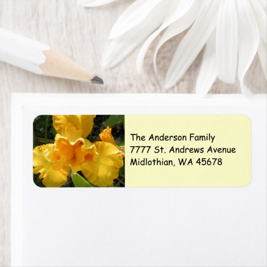 Yellow Iris Rücksendeadresse (Insitu)