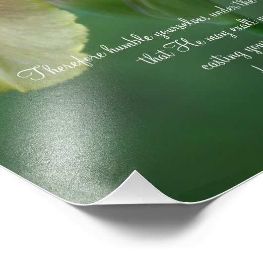 Yellow Iris Scripte Fotografieren Fotodruck (Ecke)