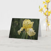 Yellow Iris Sunshine Scripture Card Nummern 6:25 Karte (Gelbe Blume)