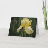 Yellow Iris Sunshine Scripture Card Nummern 6:25 Karte (Vorderseite)
