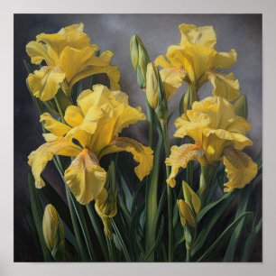 Yellow Irische Blume Art Print Poster
