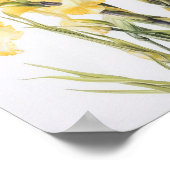 Yellow Irische Blume Art Print Poster (Ecke)