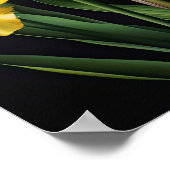 Yellow Irische Blume Art Print Poster (Ecke)