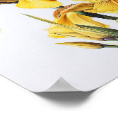 Yellow Irische Blume Art Print Poster (Ecke)