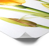 Yellow Irische Blume Art Print Poster (Ecke)