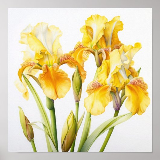 Yellow Irische Blume Art Print Poster (Vorne)