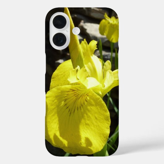 Yellow Irises Bright Spring Floral Case-Mate iPhone Hülle (Rückseite)