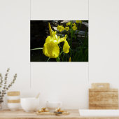 Yellow Irises Bright Spring Floral Poster (Küche)
