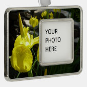 Yellow Irises Bright Spring Floral Rahmen-Ornament Silber (Rechts)