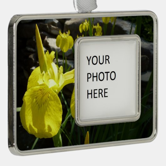 Yellow Irises Bright Spring Floral Rahmen-Ornament Silber (Rechts)