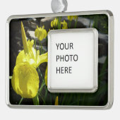 Yellow Irises Bright Spring Floral Rahmen-Ornament Silber (Links)